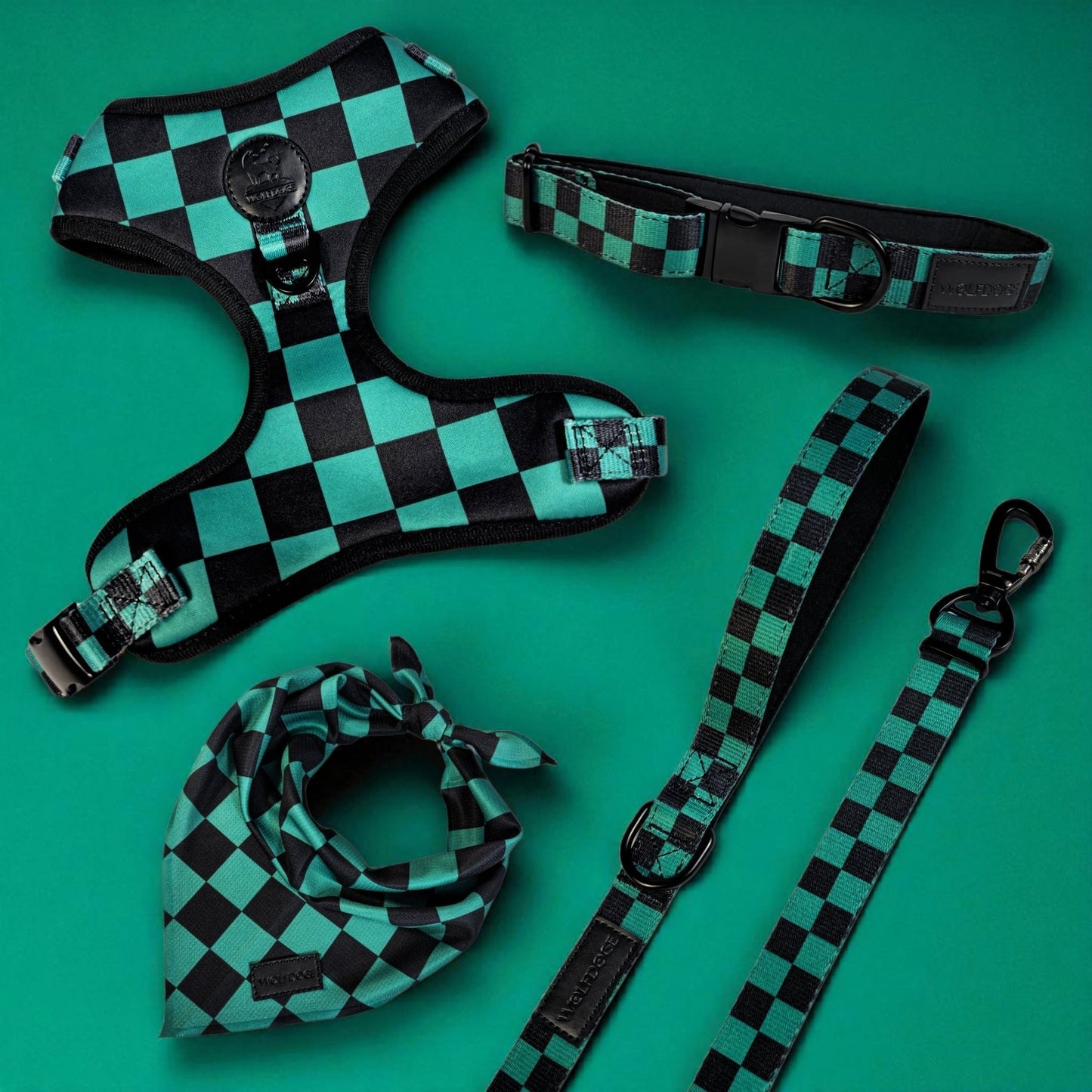 Pets - Checkered Leash