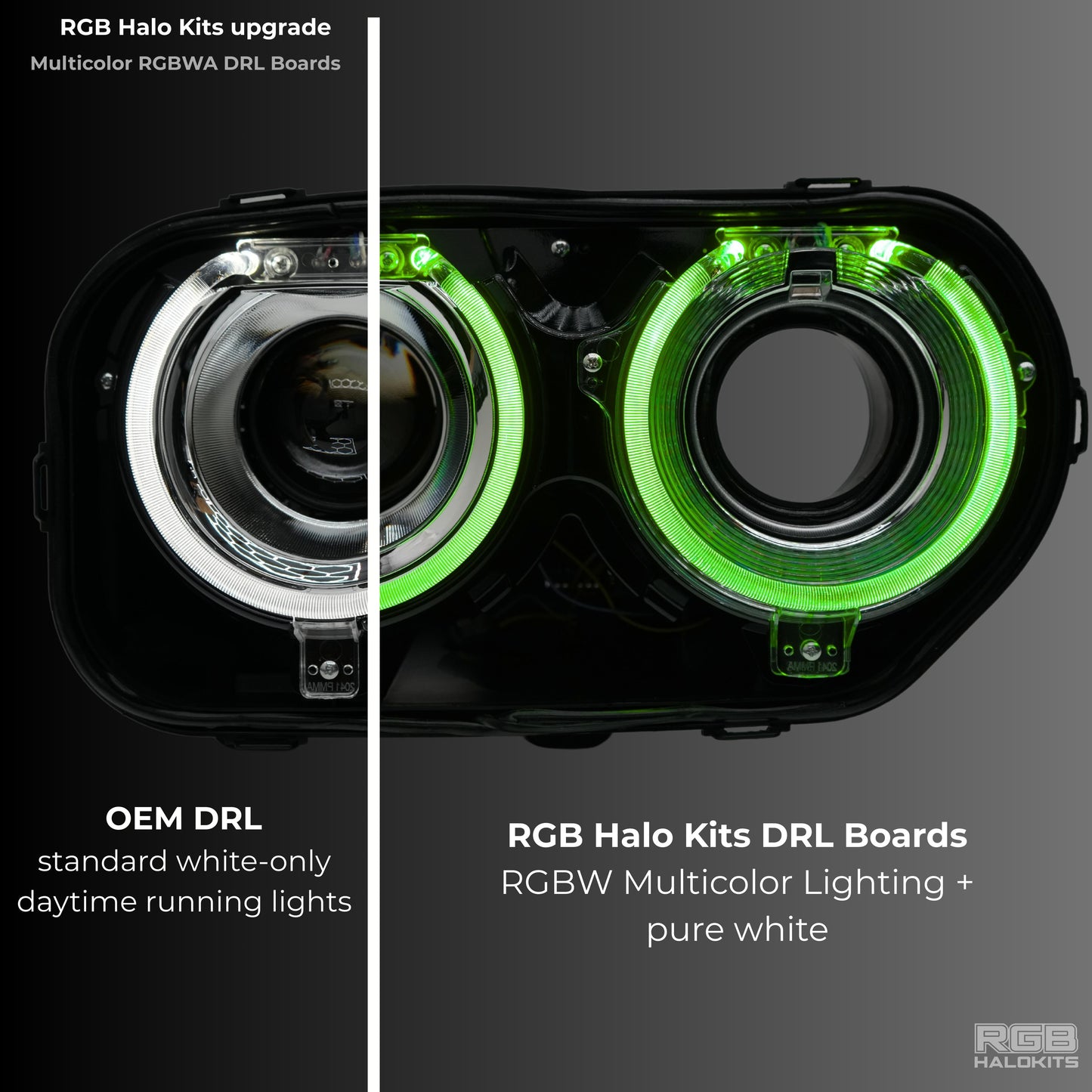 Stay LIT - Dodge Challenger RGBW DRL Boards (2015-2023)