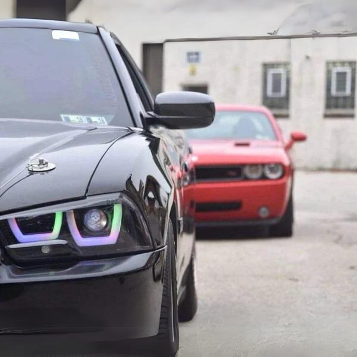 Stay LIT - Dodge Charger Flow Series DRL Boards (for 2011-2014 Spec-D Headlights)