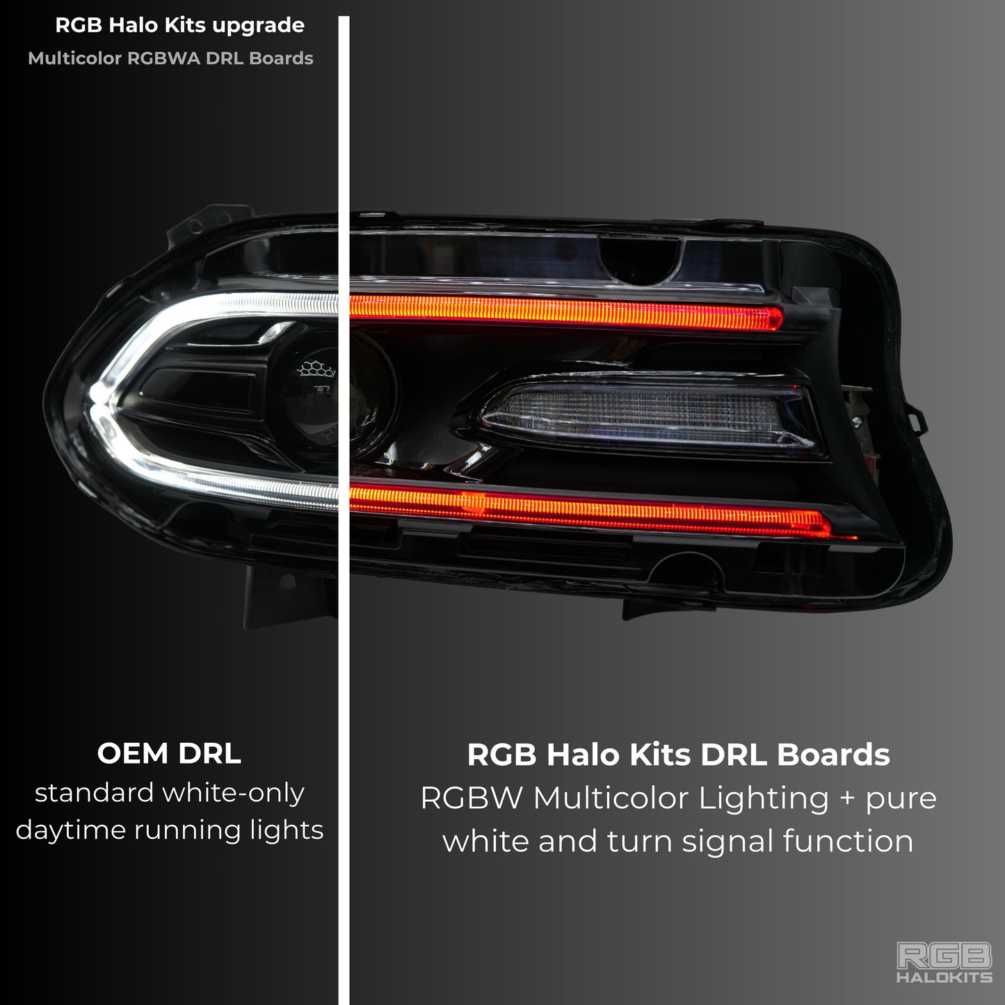 Stay LIT - Dodge Charger RGBWA DRL Boards (2015-2023)