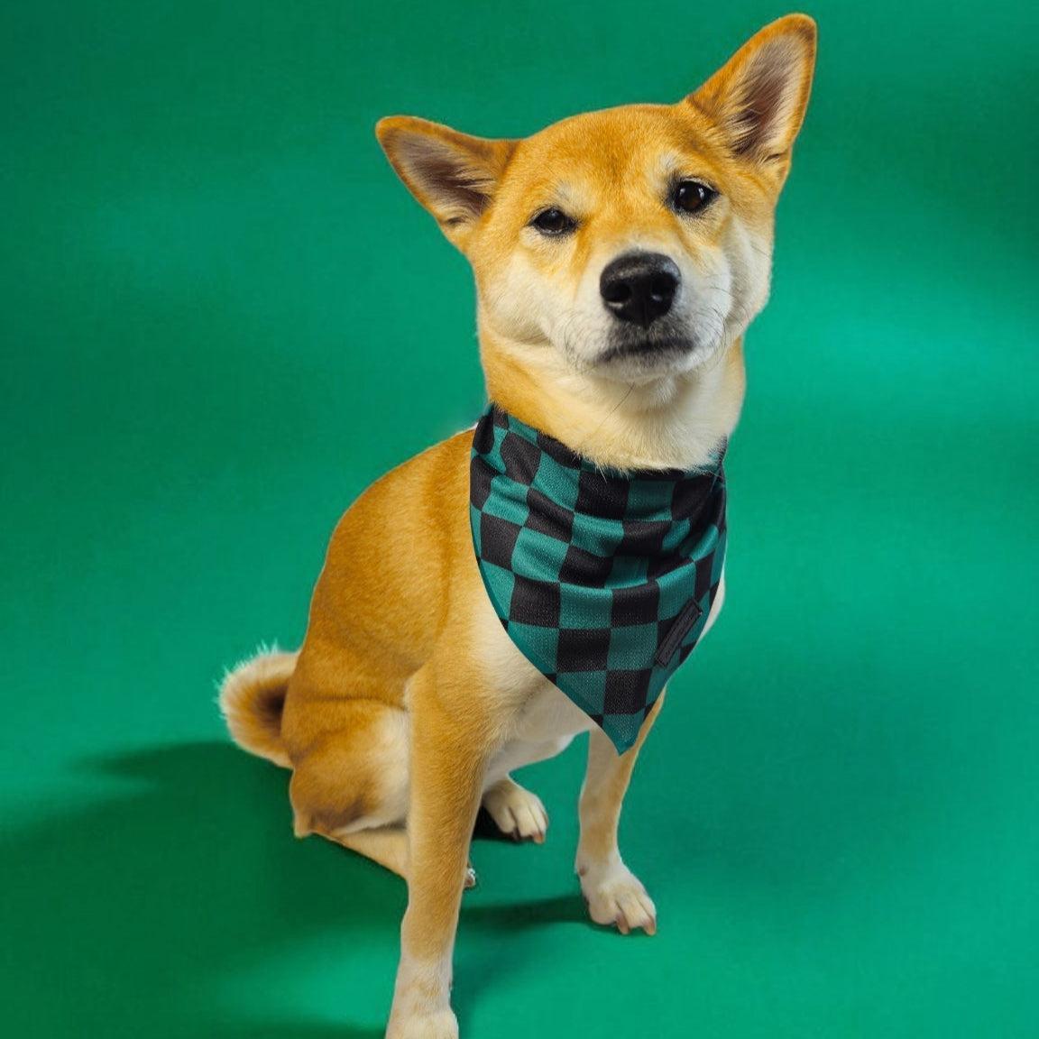 Pets - Checkered  Bandana